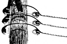 Coated Dead-end